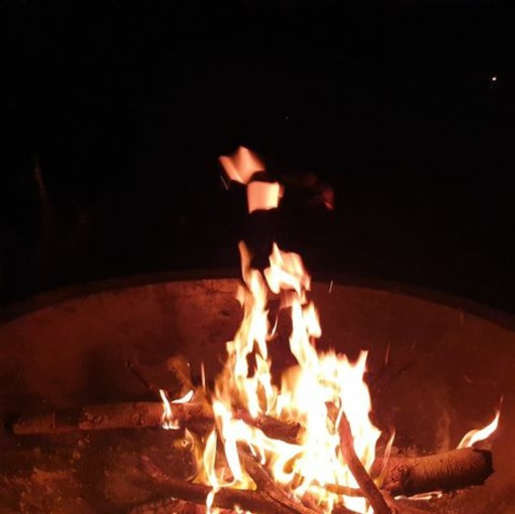 Meet your Posher, Charlie - Picture 1 of 1